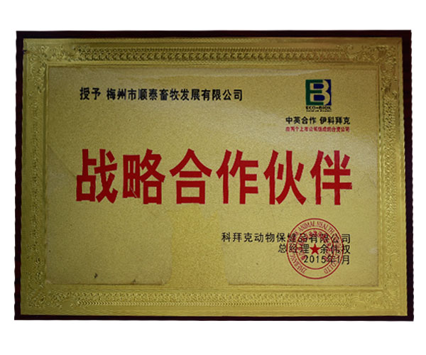 中英合作 伊科拜克戰略合作伙伴
