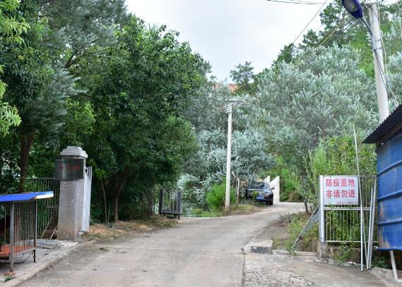 順泰聯興種豬場